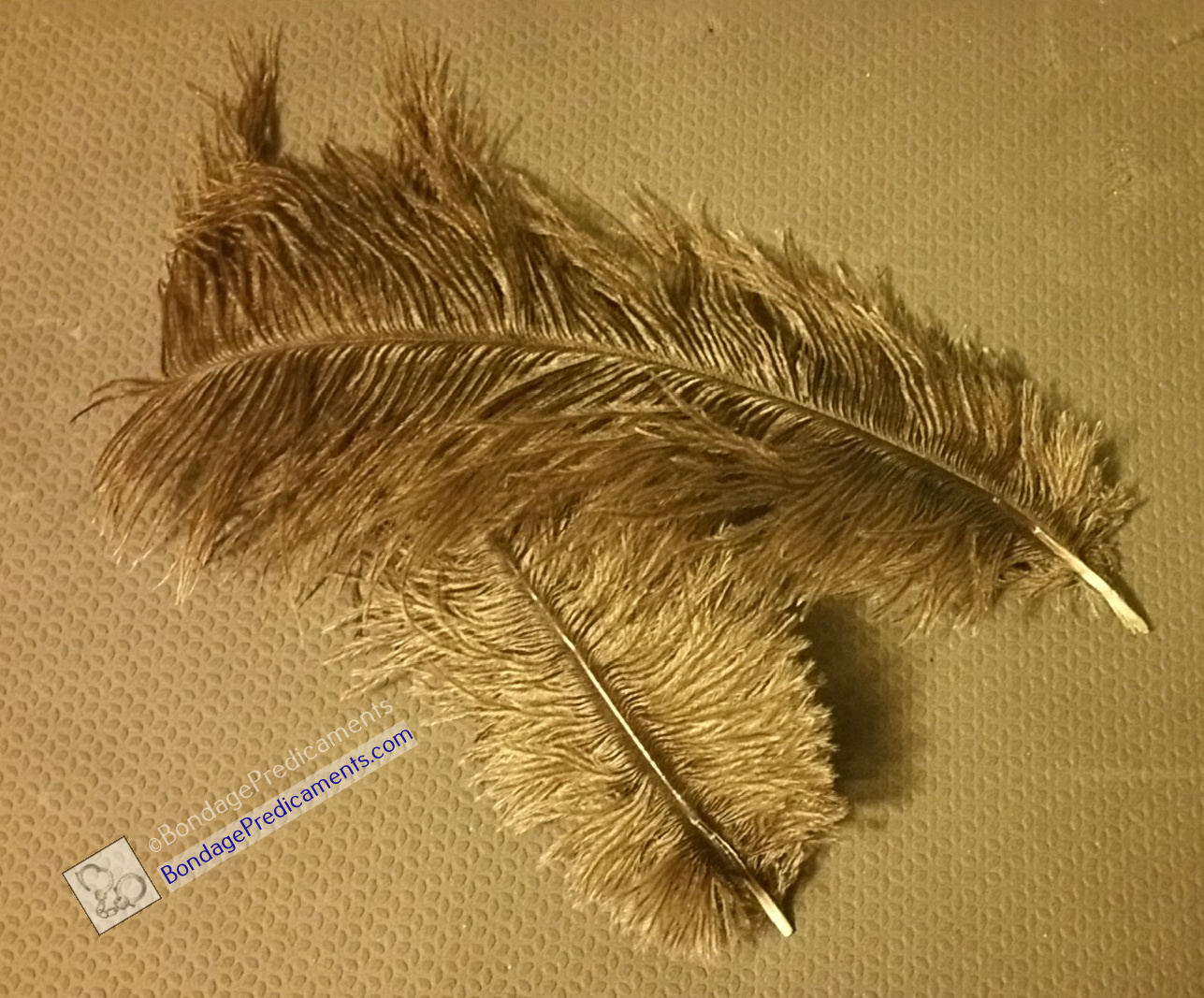 Feather Duster Edging