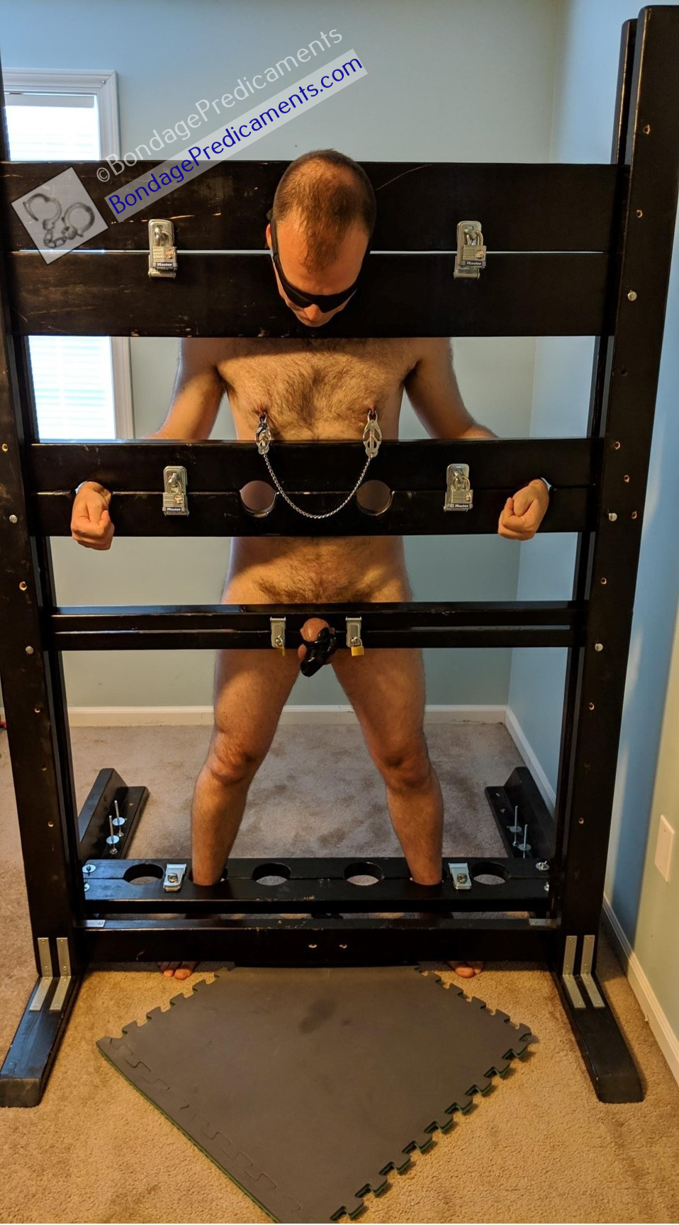 Chastity Sub Locked in Stocks Nipple Clamps