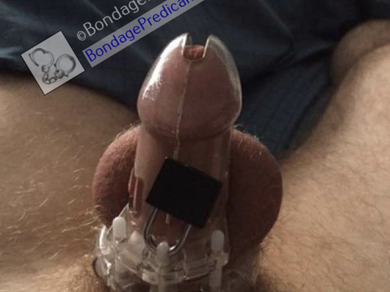 Boy Locked in Chastity Hard