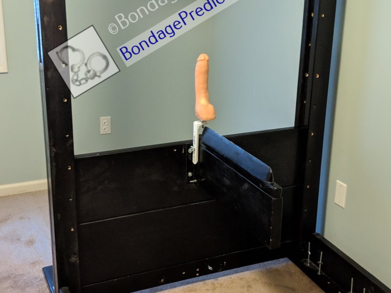 Dildo Predicament