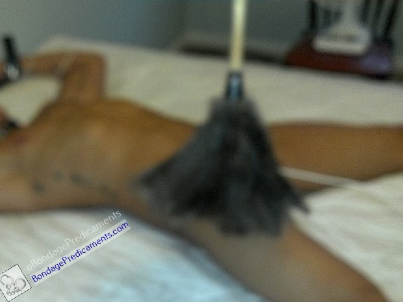 Feather Duster Pendulum Torture