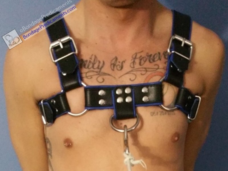 Gay Bondage Leashed Sub in Leather Chest Harness