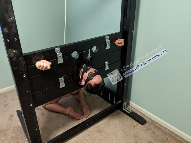 Gay Bondage Stocks Predicament CBT