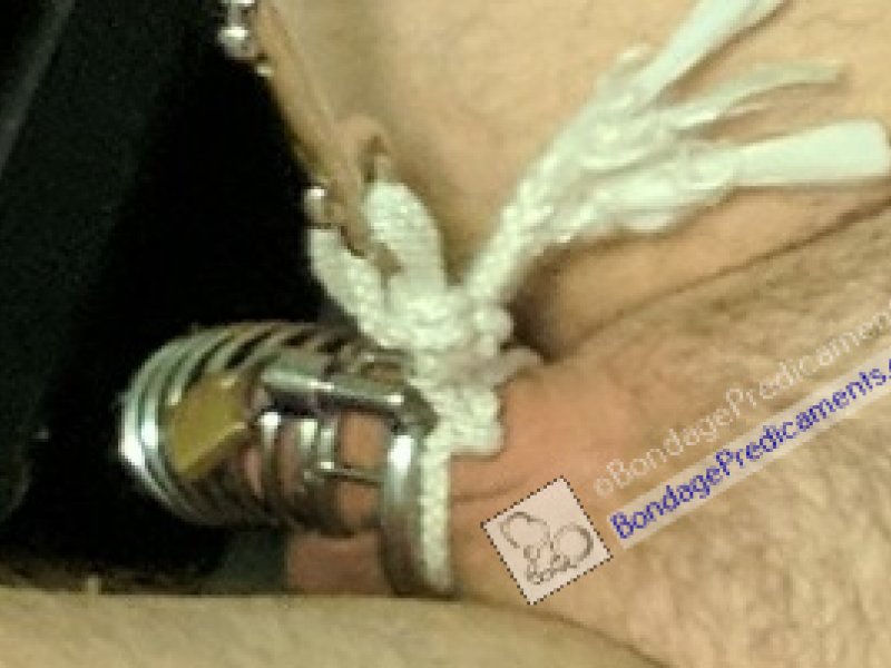 Predicament Bondage Chastity