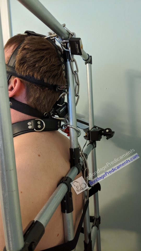 Bondage Chair Head Harness