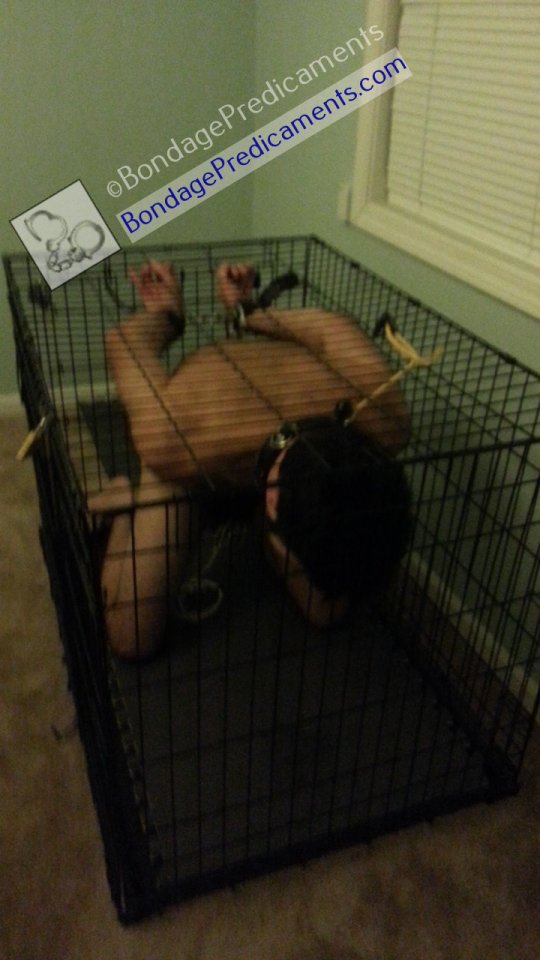 Caged Bondage sub