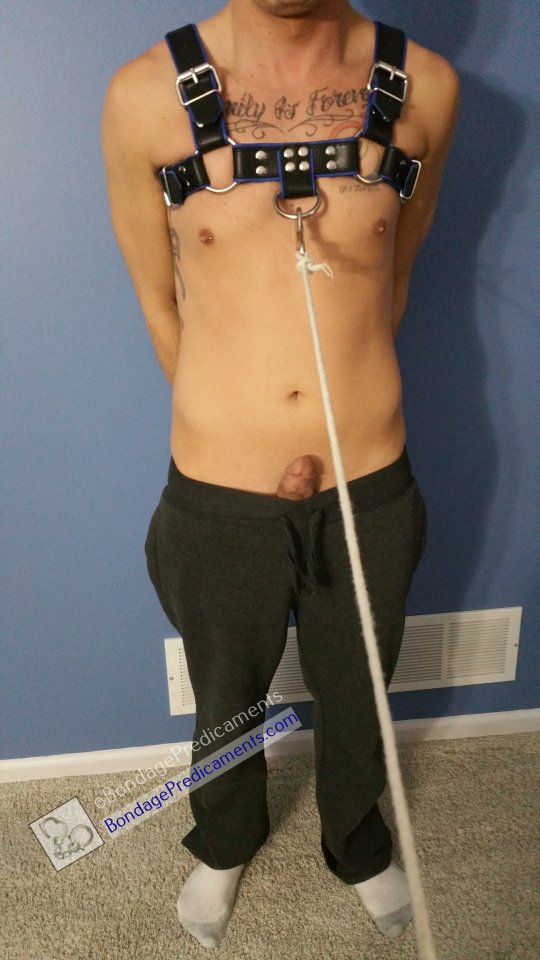 Gay Bondage Leashed Sub in Leather Chest Harness