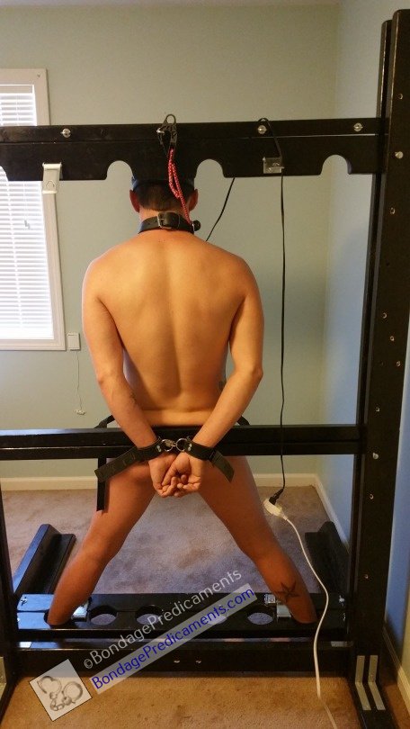 Gay sub in Stocks