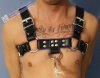 Gay Bondage Leashed Sub in Leather Chest Harness