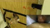 Jail Cell Edging Machine Masturbation Sleeve