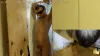 Jail Cell Gloryhole Edging